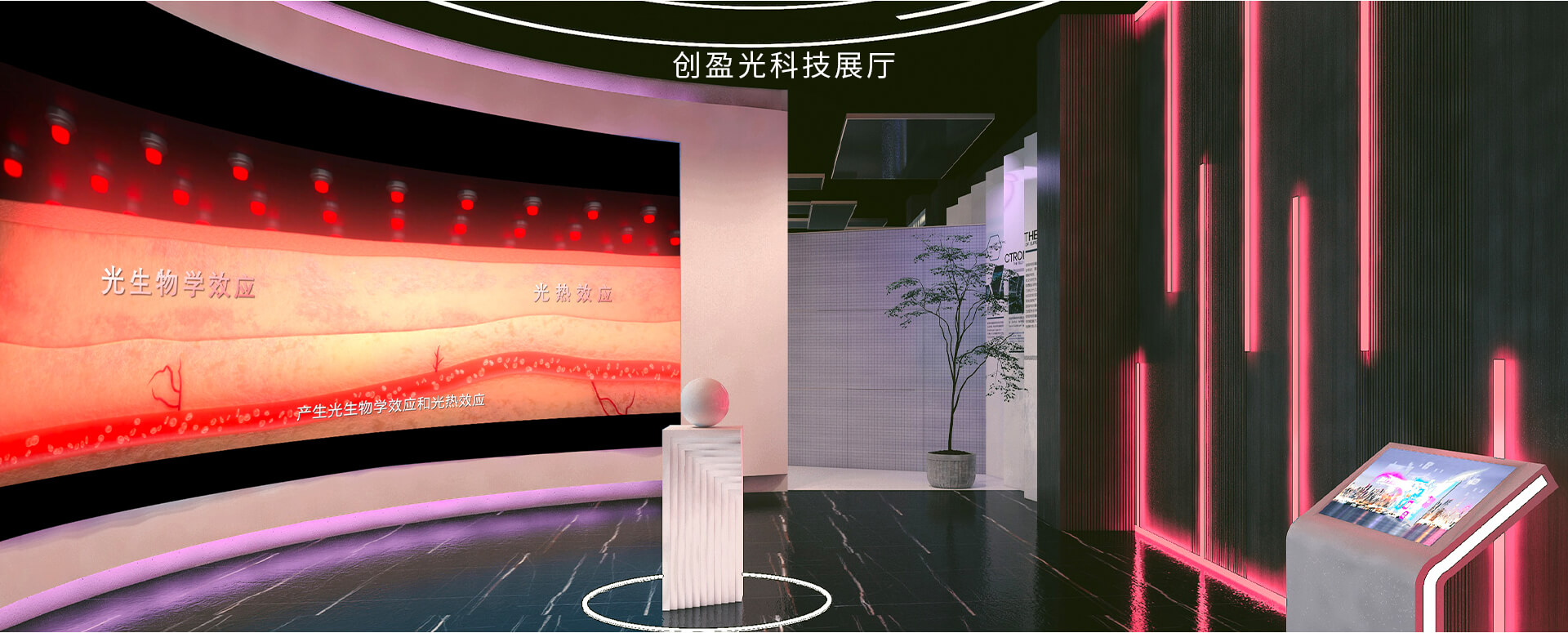 展示